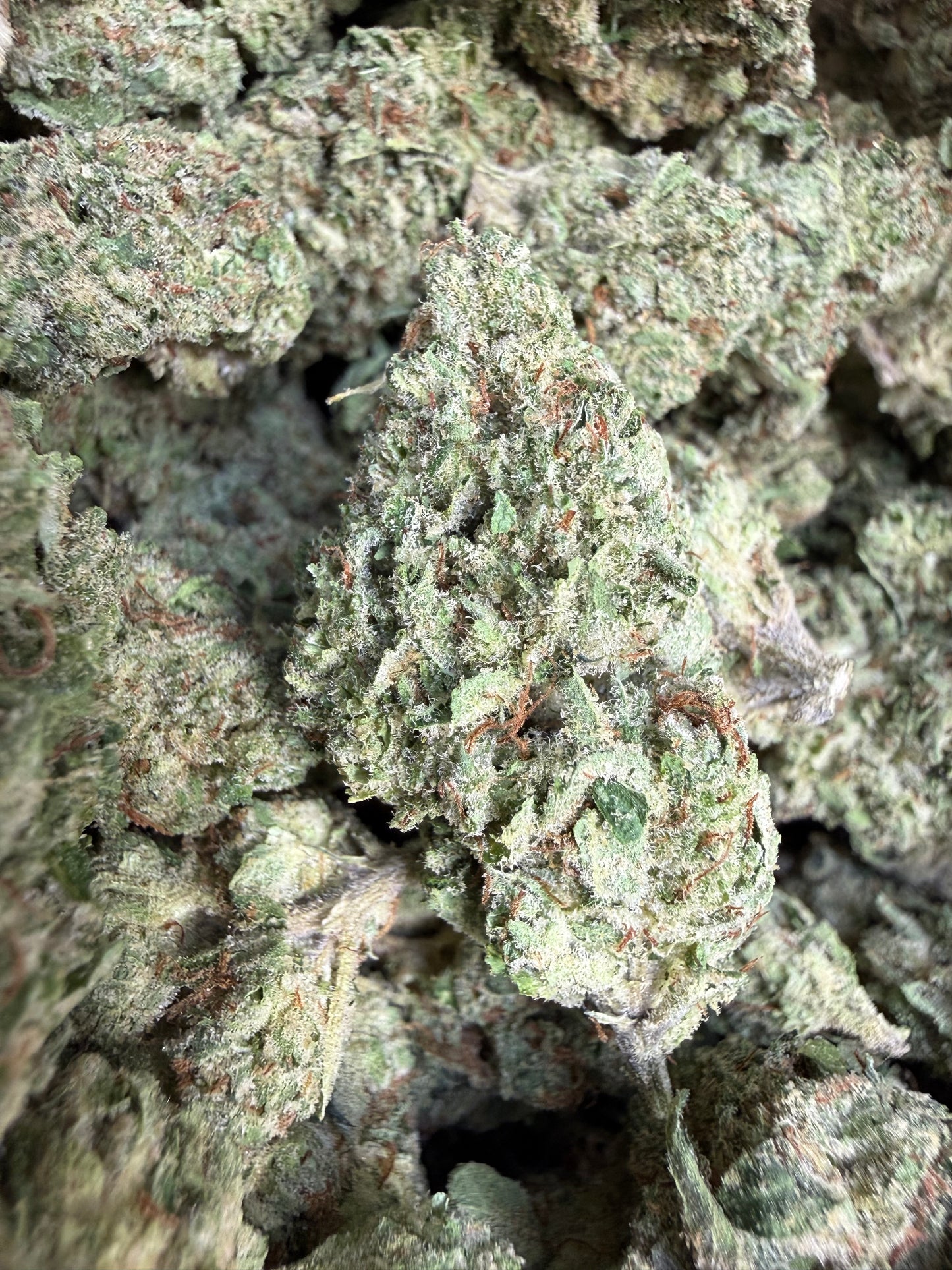 1 Pound - Afghan Lemon OG THCA Flower