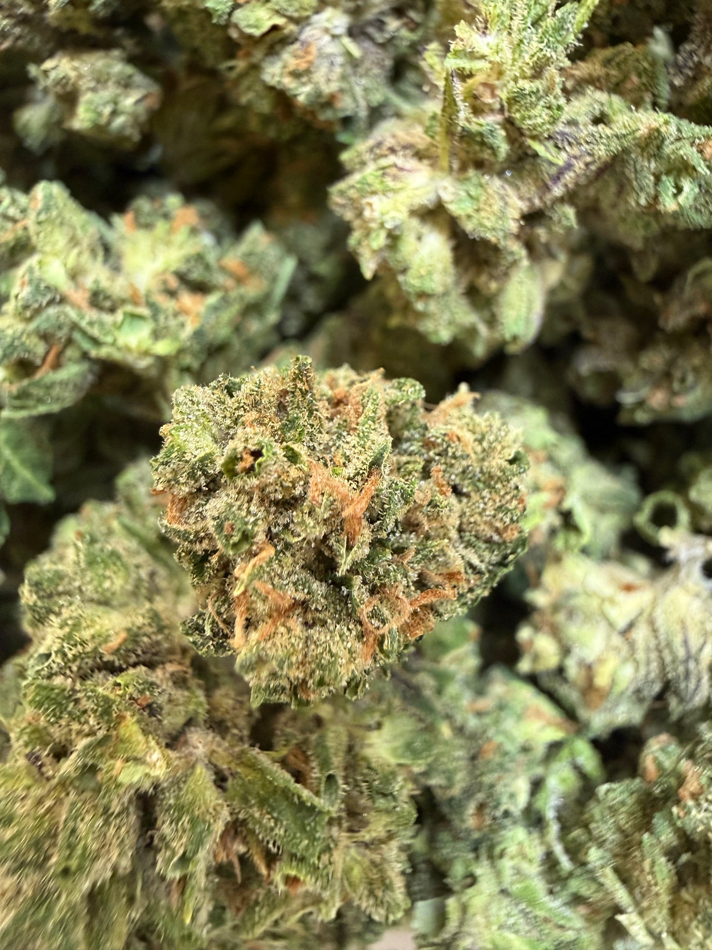 1 Pound - Bubble Bath THCA Flower (Smalls)
