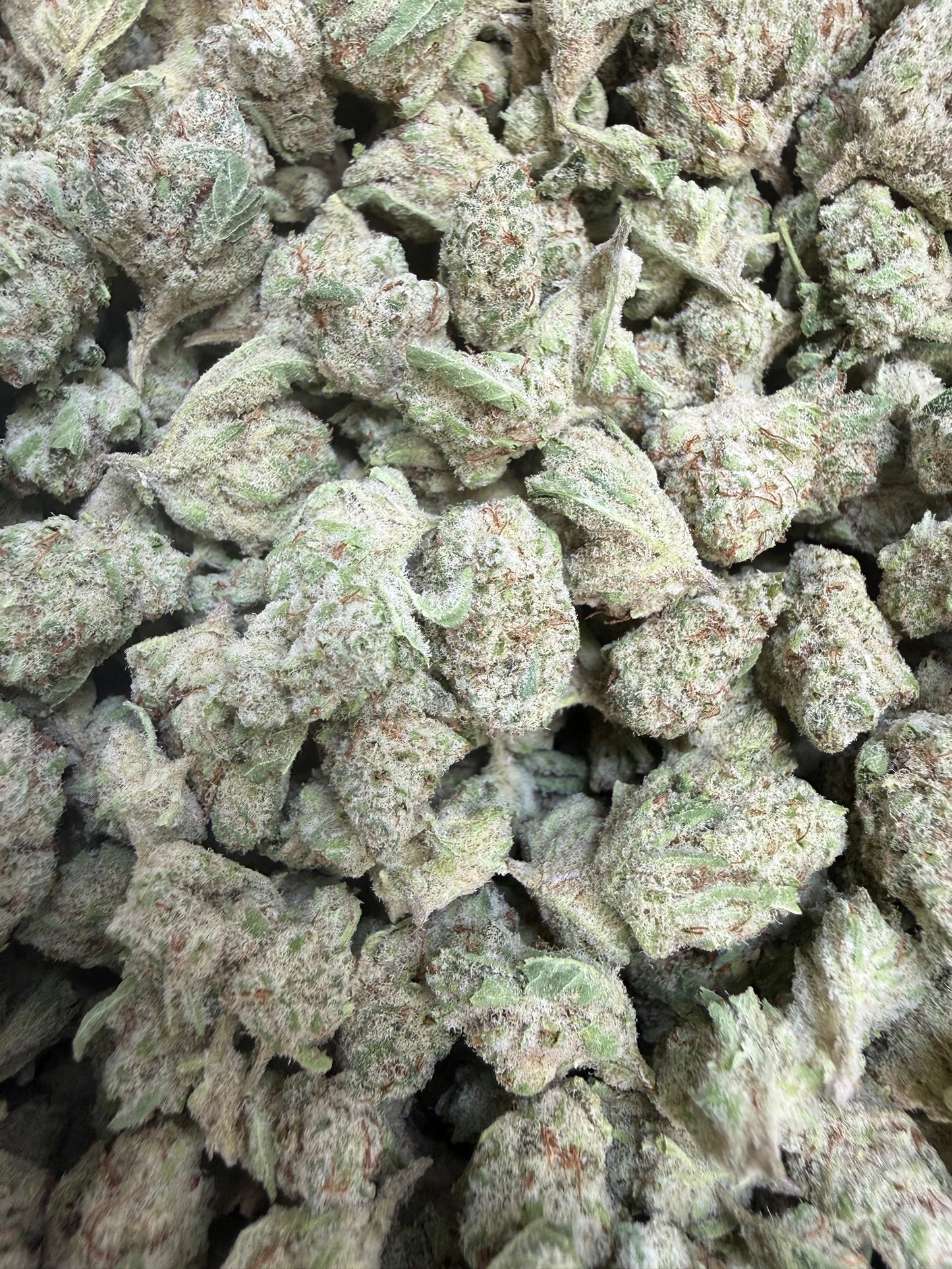 1 Pound - Supersonic Hog THCA Flower (Smalls)