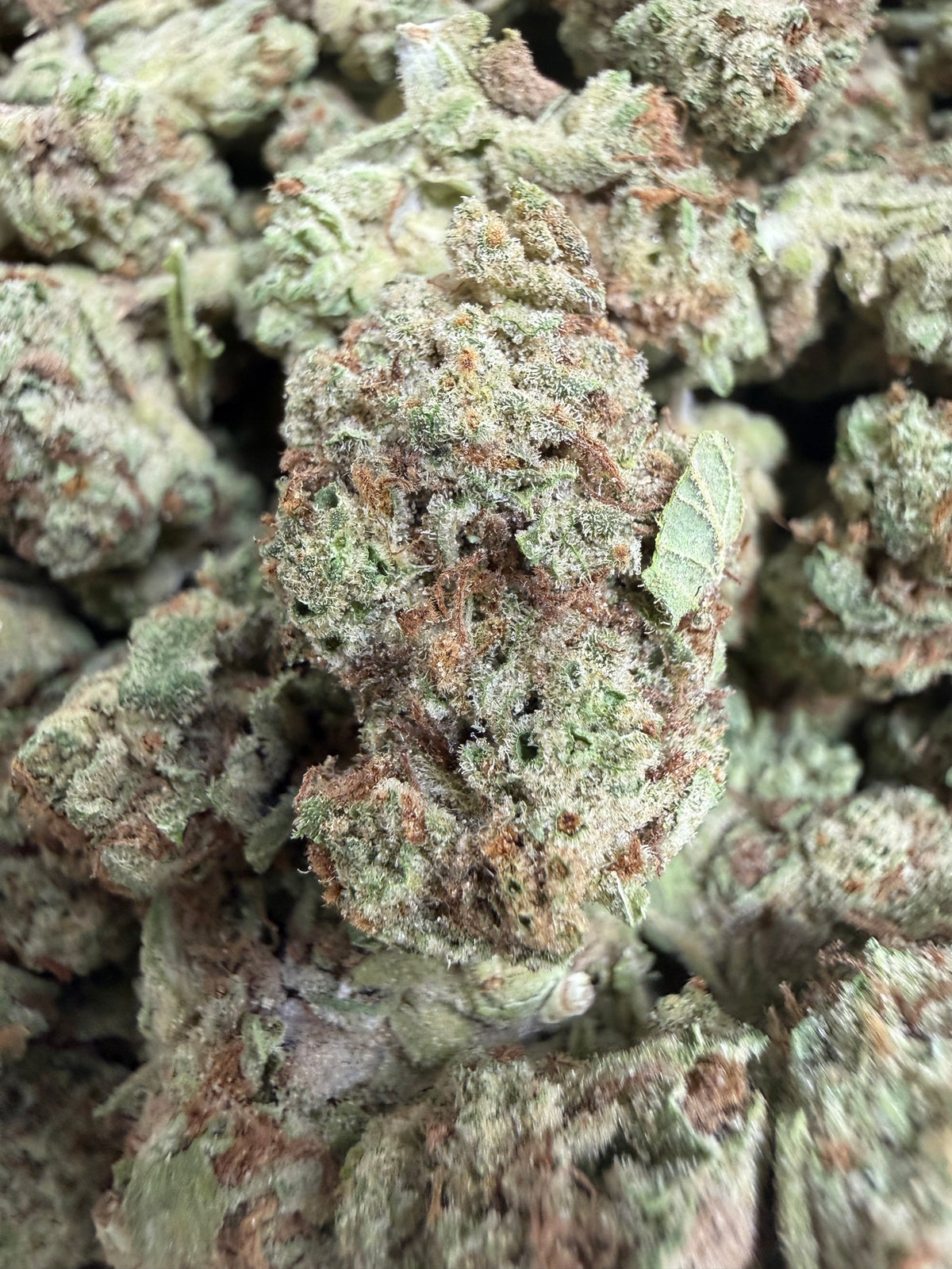 1 Pound - JELLY RANCHER THCA Flower (SMALL)