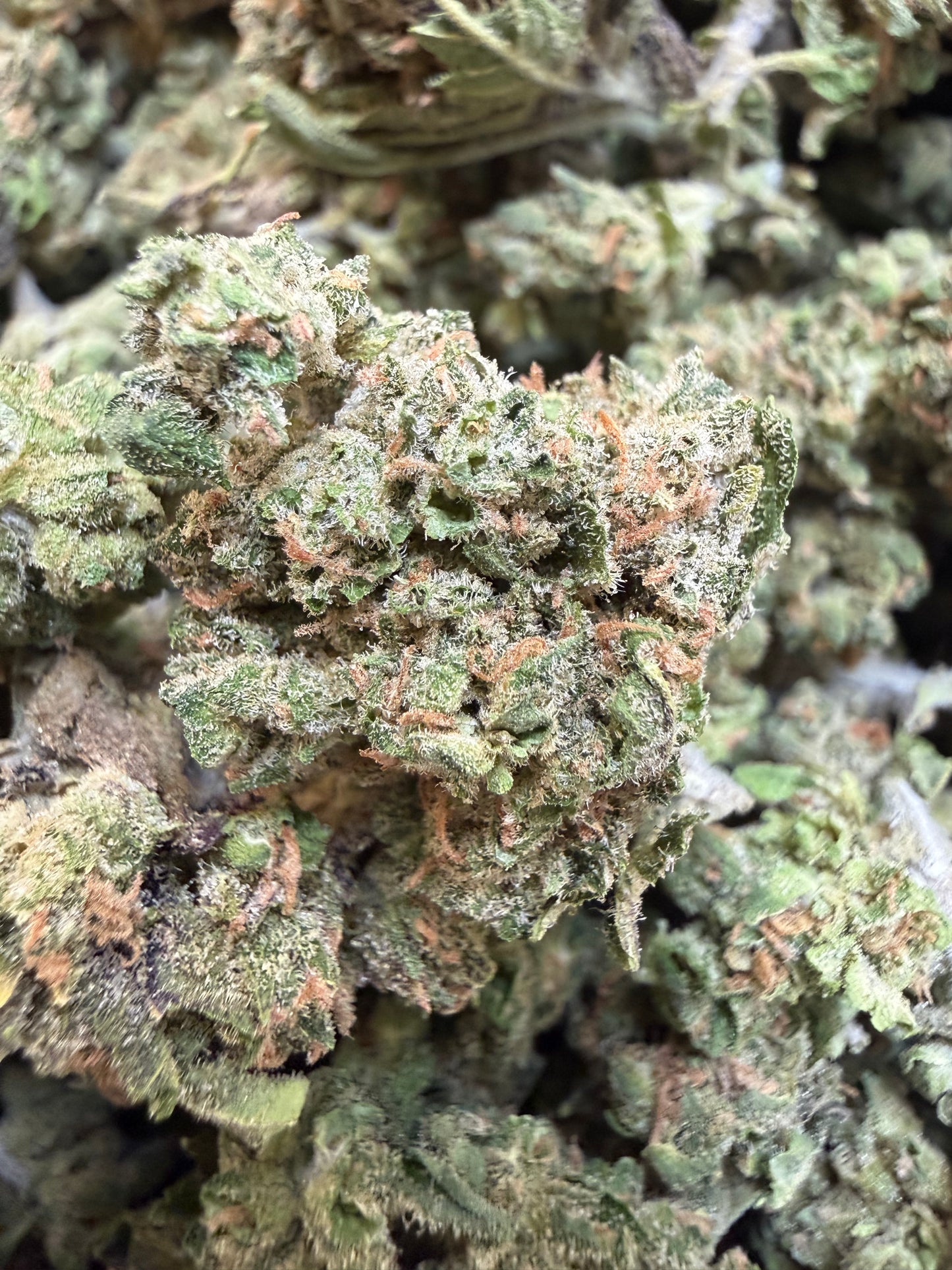 1 Pound - Bubble Bath THCA Flower (Smalls)