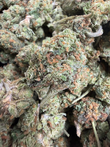 1 Pound - CITRUS GELATO THCA Flower (SMALL)