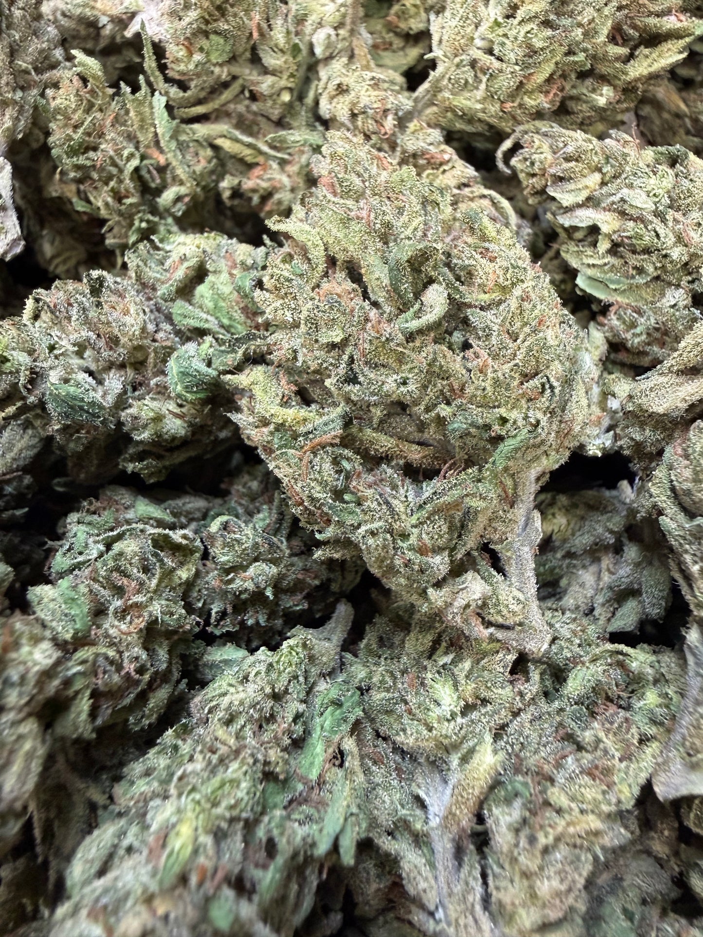 1 Pound - Blueberry X Blue Dream THCA Flower