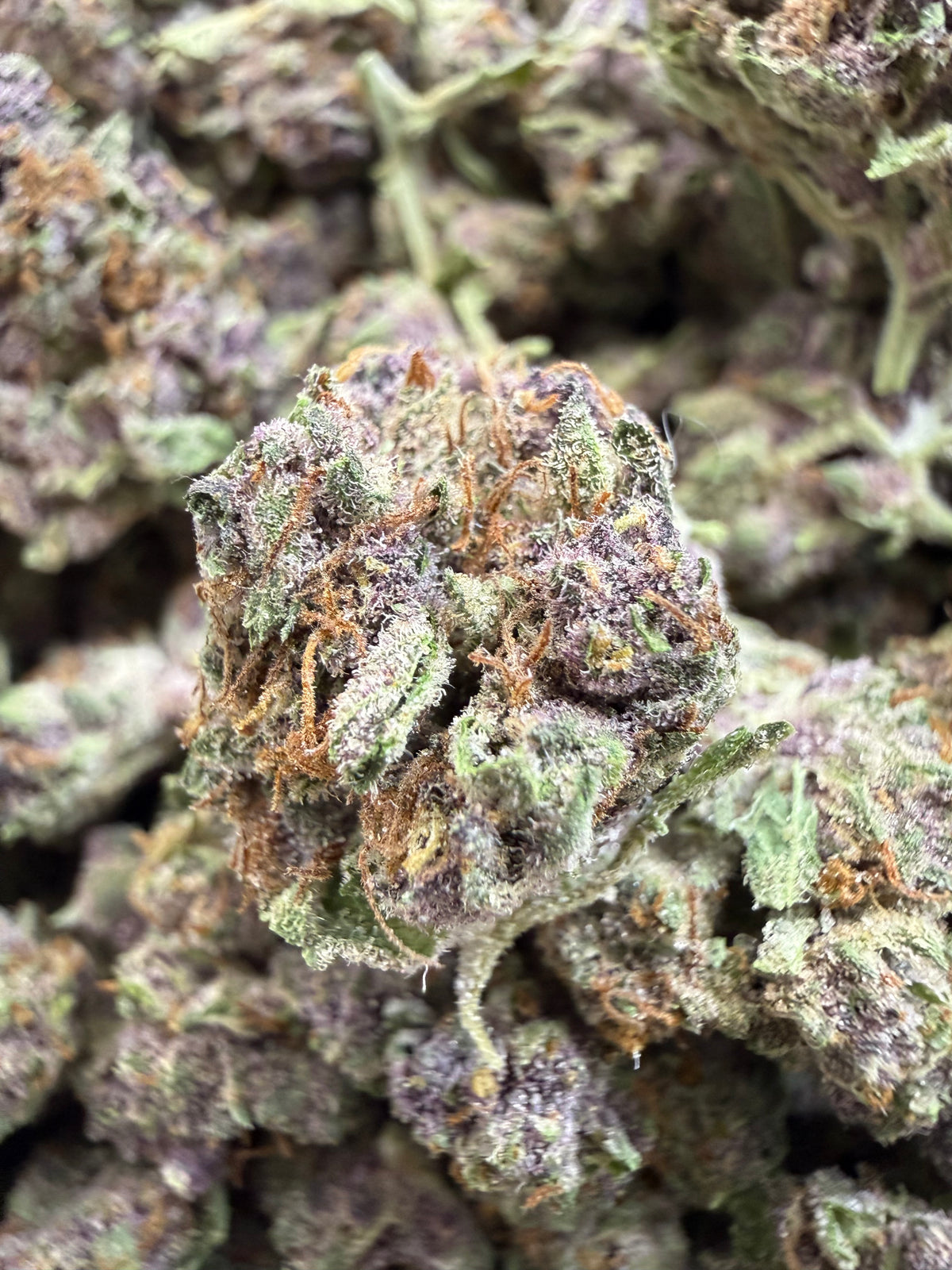 1 Pound - TROP CHERRY THCA Flower (SMALL)