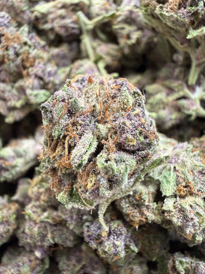 1 Pound - TROP CHERRY THCA Flower (SMALL)