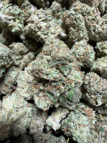 1 Pound -DUTCH TREAT THCA Flower (SMALL)