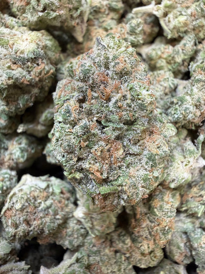 1 Pound - Peanut Butter Breath THCA Flower