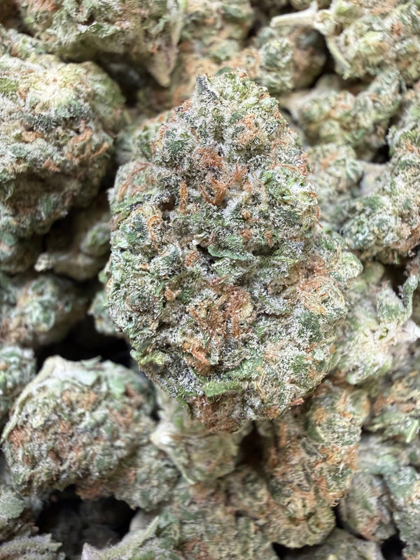 1 Pound - Peanut Butter Breath THCA Flower