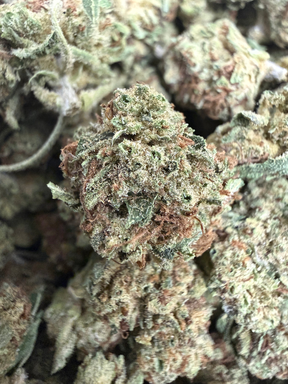 1 Pound - PERMANENT MARKER THCA Flower (SMALL)
