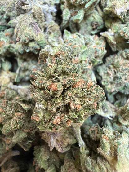 1 Pound - Sherbanger THCA Flower (Smalls)