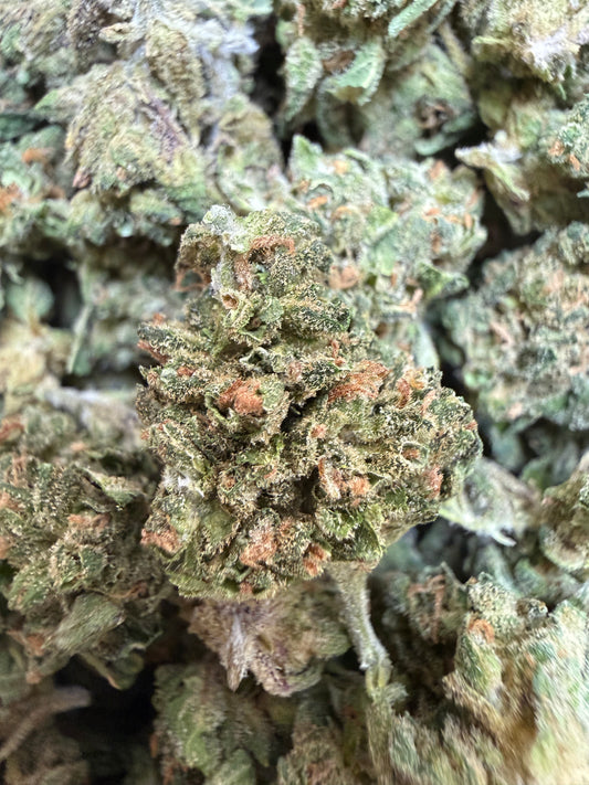 1 Pound - Sherbanger THCA Flower (Smalls)