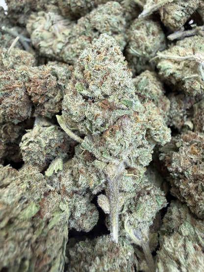 1 Pound - BISCOTTI PANCAKES THCA Flower (BIG)