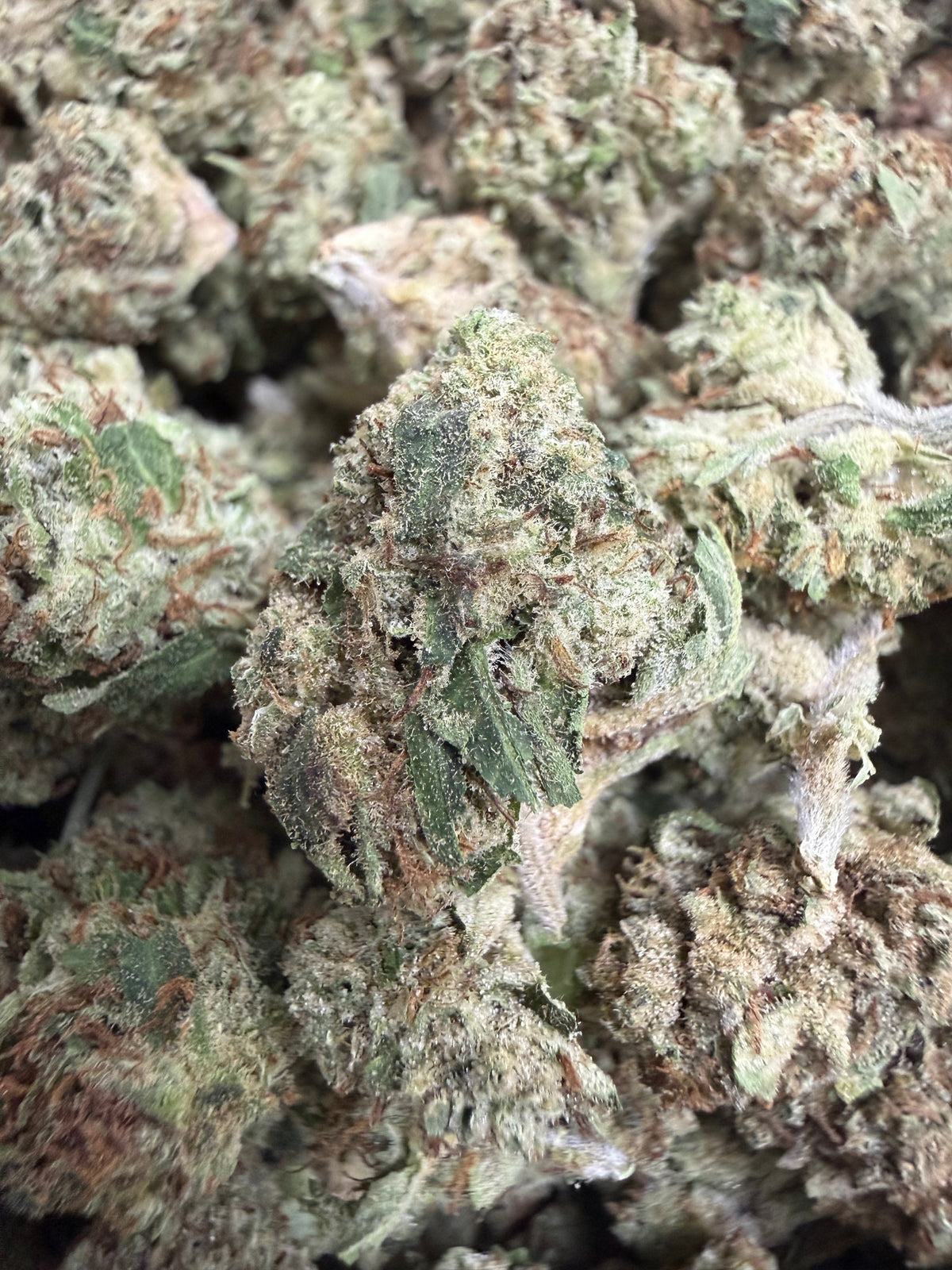 1 Pound - HEAVY METAL OG THCA Flower (SMALL)