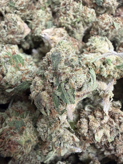1 Pound - HEAVY METAL OG THCA Flower (SMALL)