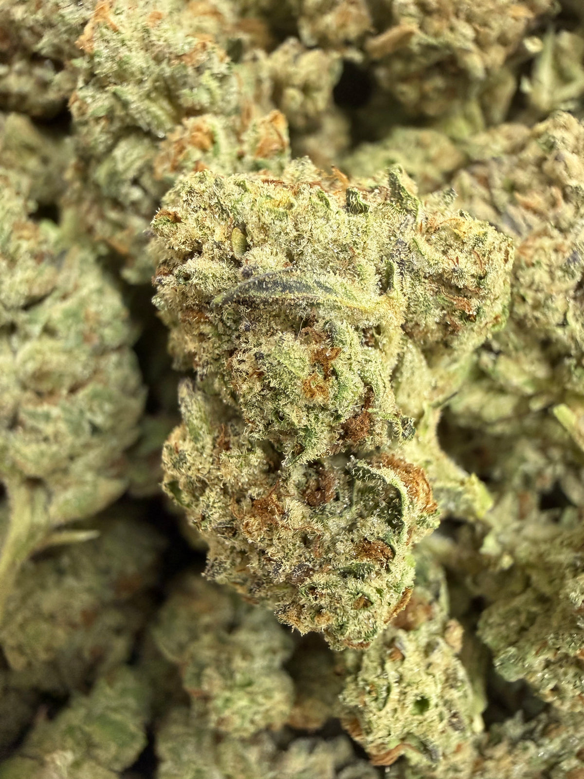 1 Pound - SCOTTIE'S CAKE THCA Flower