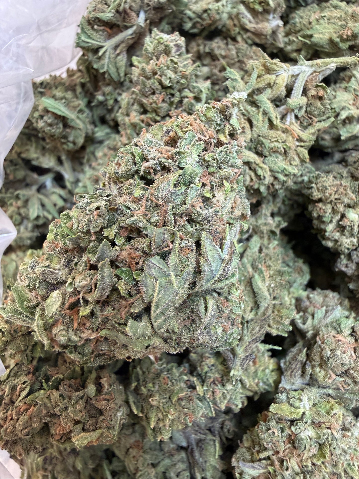 1 Pound - Gas Leak THCA Flower