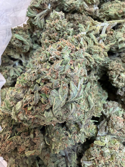 1 Pound - Gas Leak THCA Flower