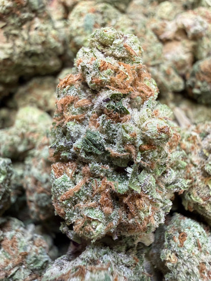 1 Pound - Phat Panda THCA Flower