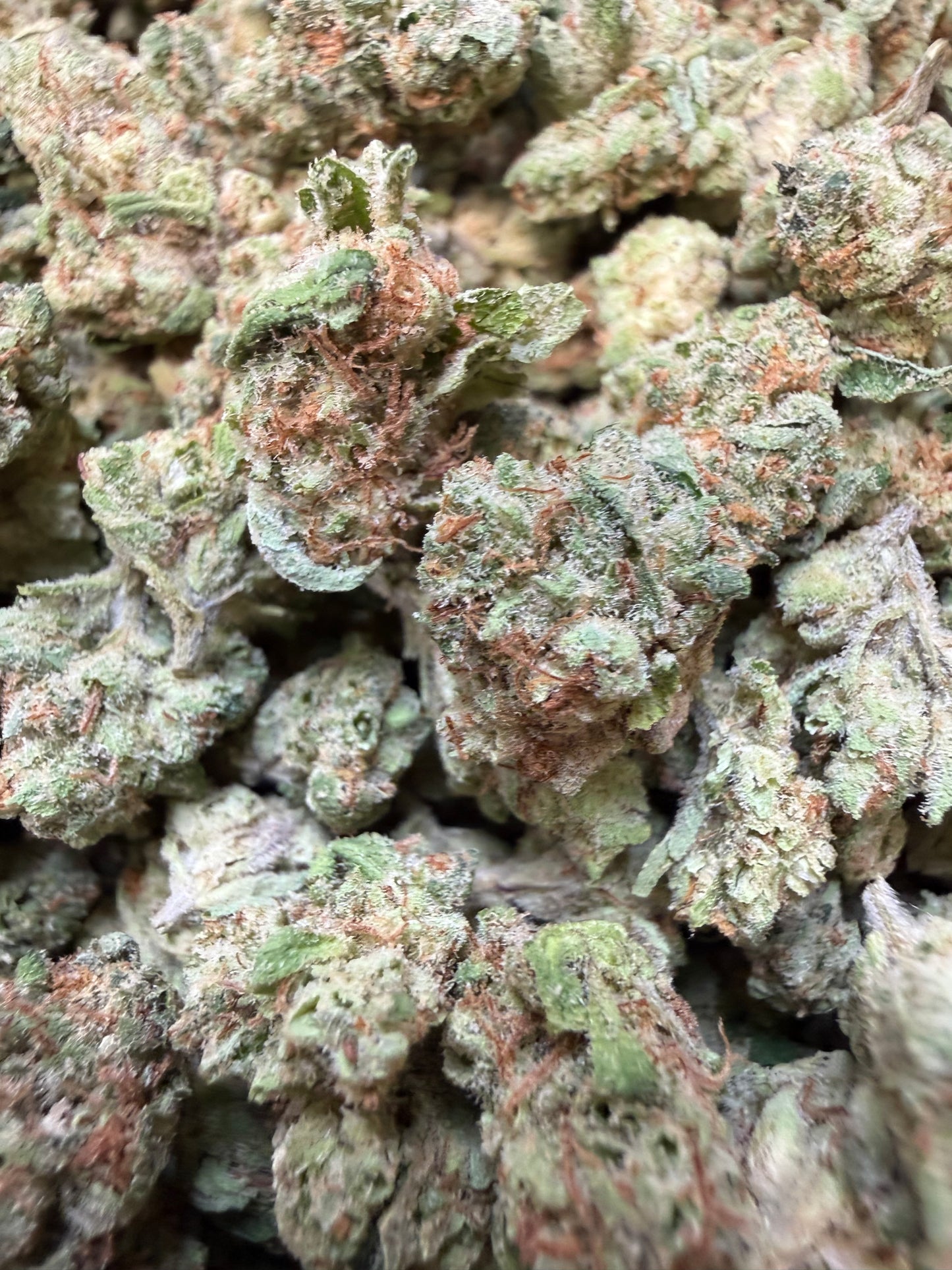 1 Pound - Barbie Runtz THCA Flower (Smalls)