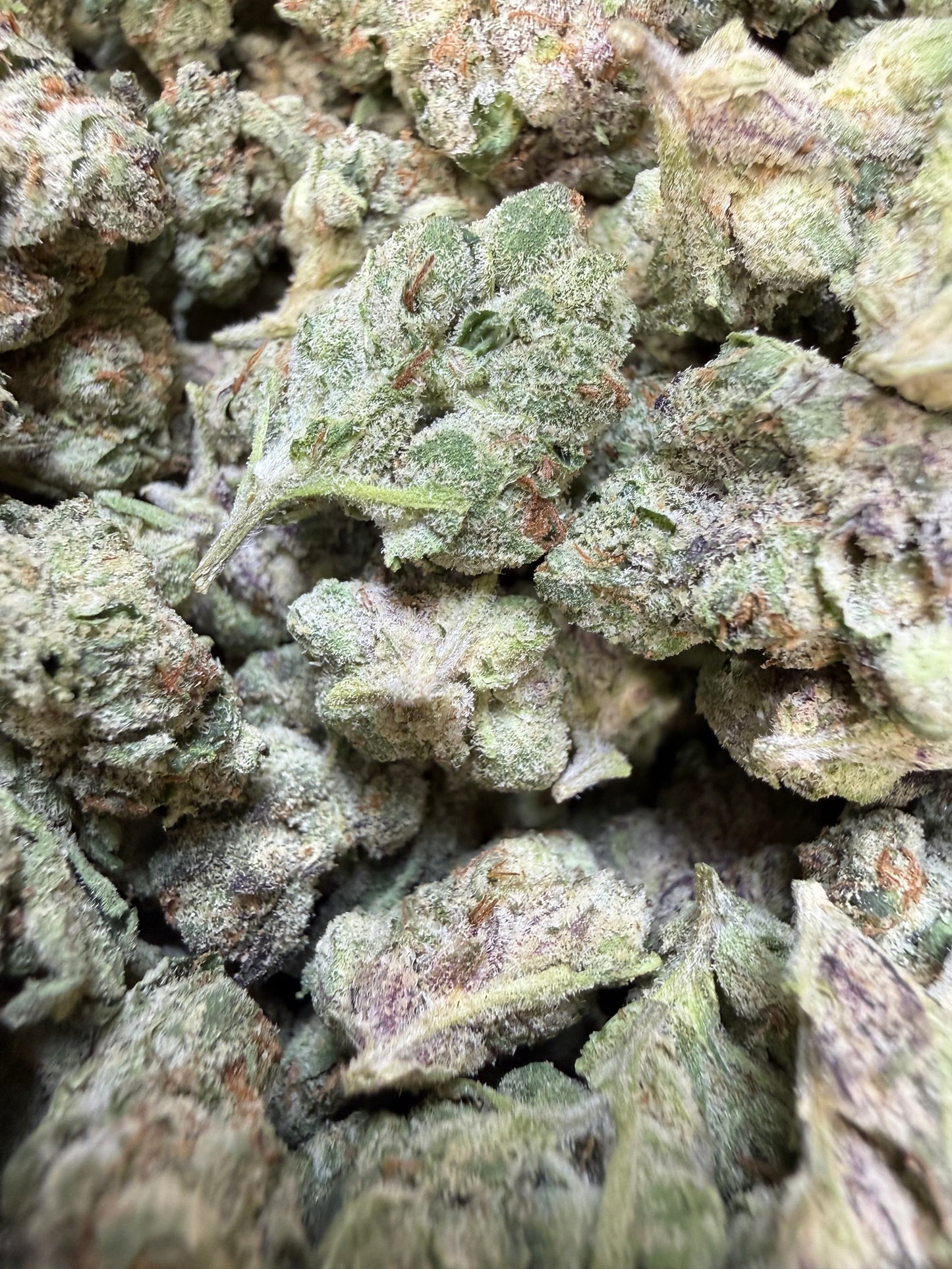 1 Pound - Gelato 33 S1 THCA Flower (Smalls)