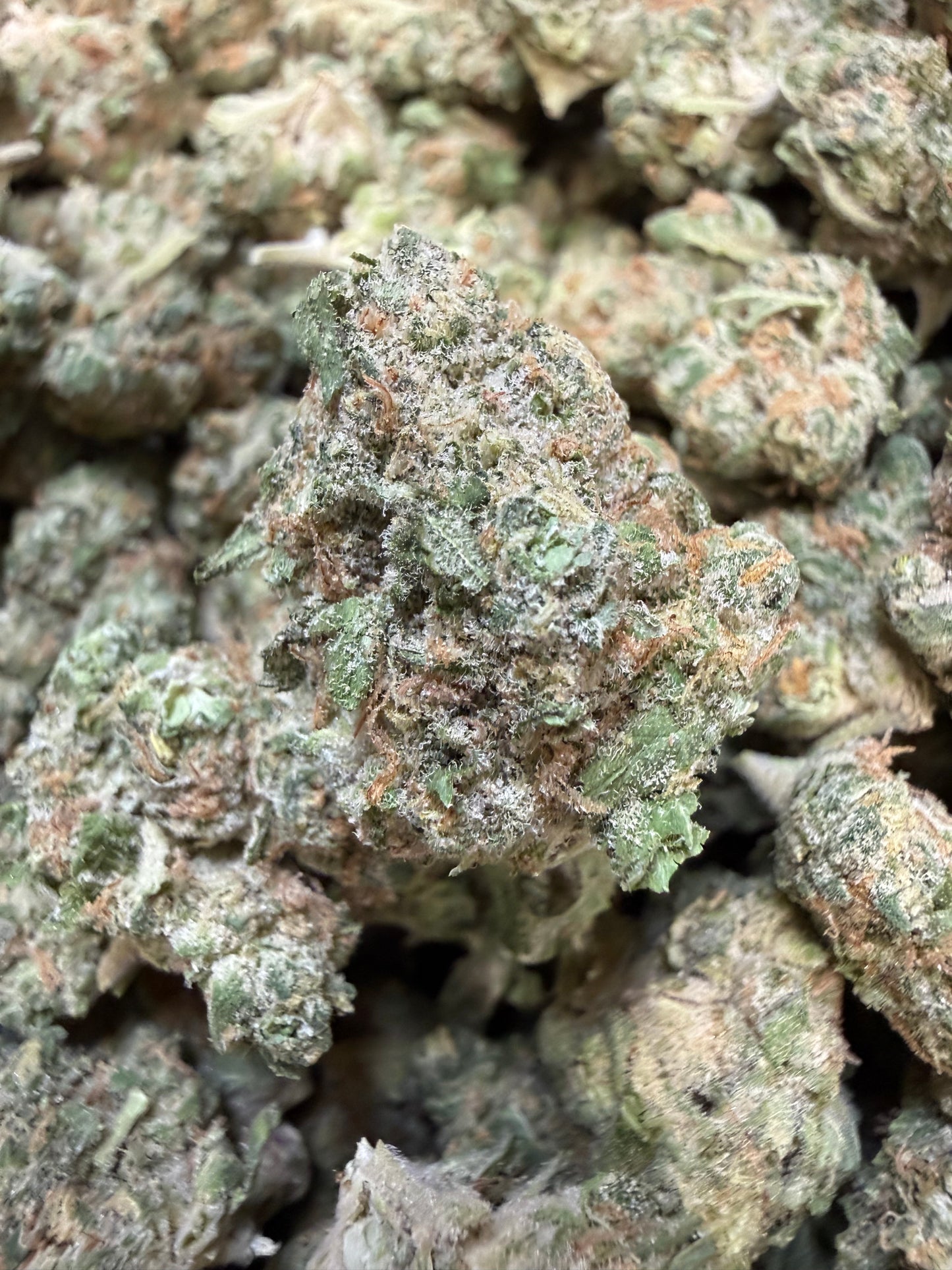 1 Pound - Peanut Butter Breath THCA Flower