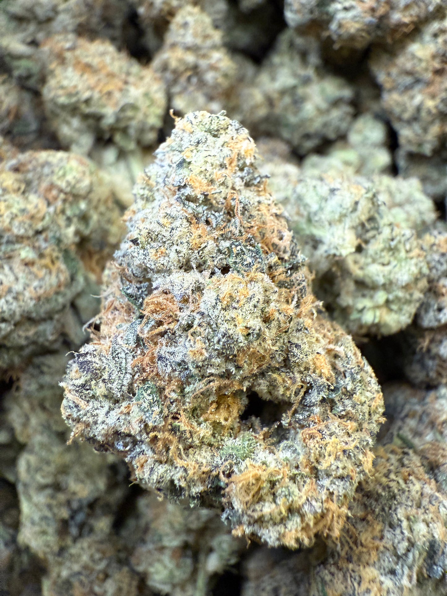 Frisco Labs - AAA Indoor Exotic - Soap THCA Strain Frisco Labs