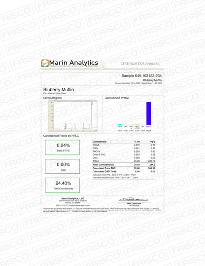 Frisco Labs - Blueberry Muffin THCA Strain Frisco Labs