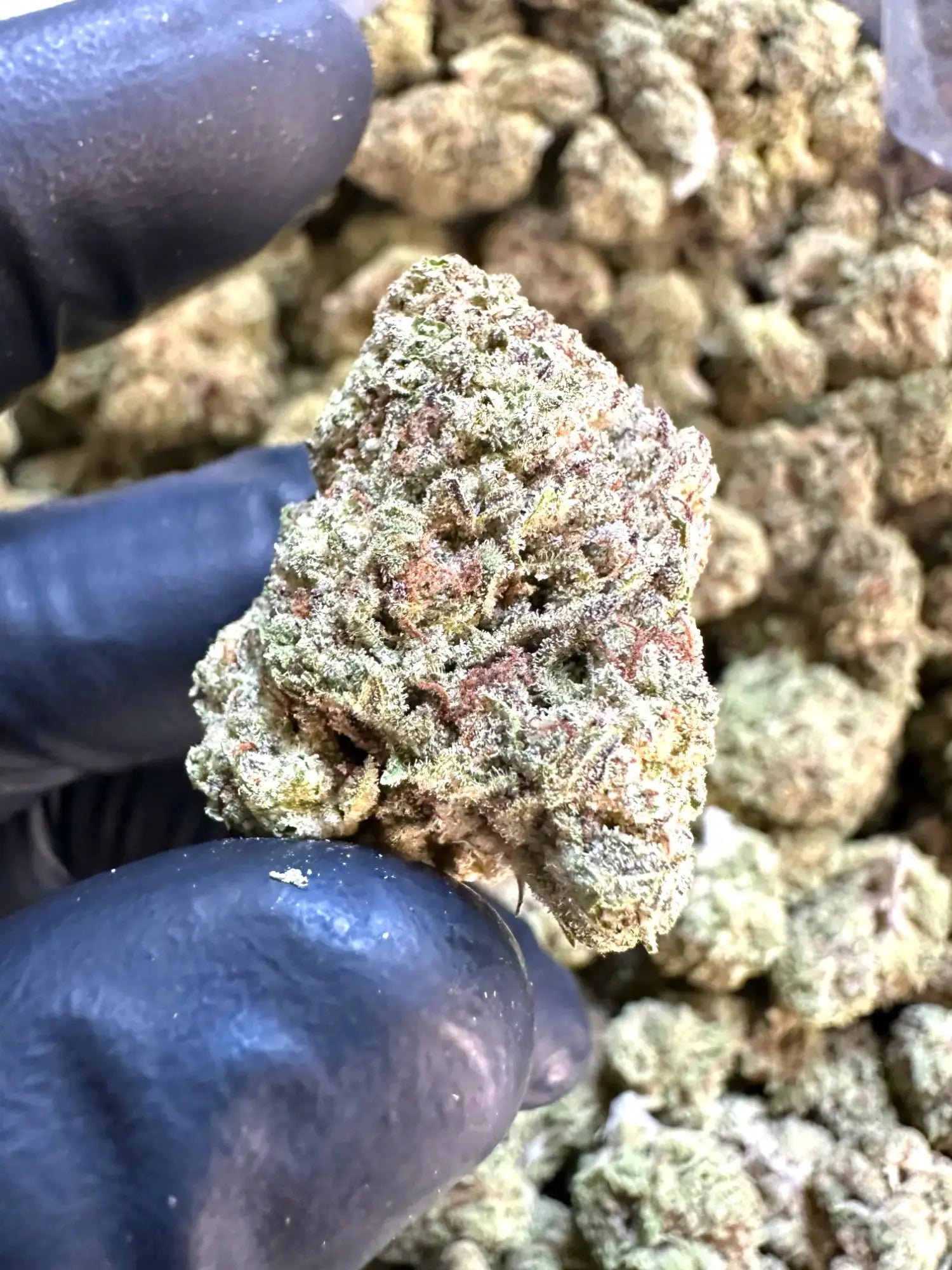 Frisco Labs - Exotic Cadillac Rainbow THCA Strain 