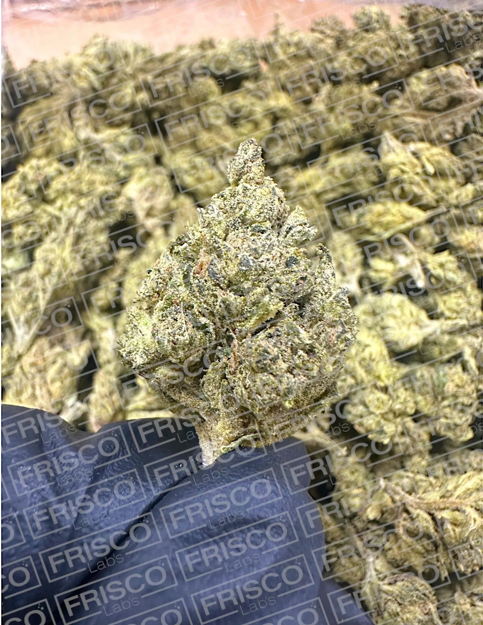 Frisco Labs - Honeycomb THCa Frisco Labs