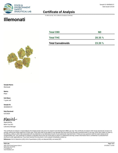 Frisco Labs - ILLEMONATI Strain THCA 