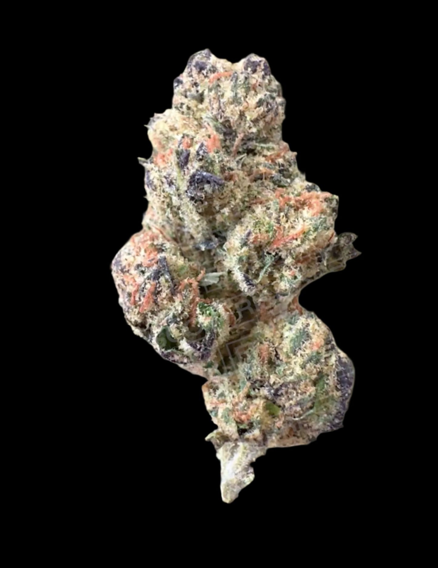 Frisco Labs - Indoor Exotic - Blueberry Muffin THCA Strain Frisco Labs