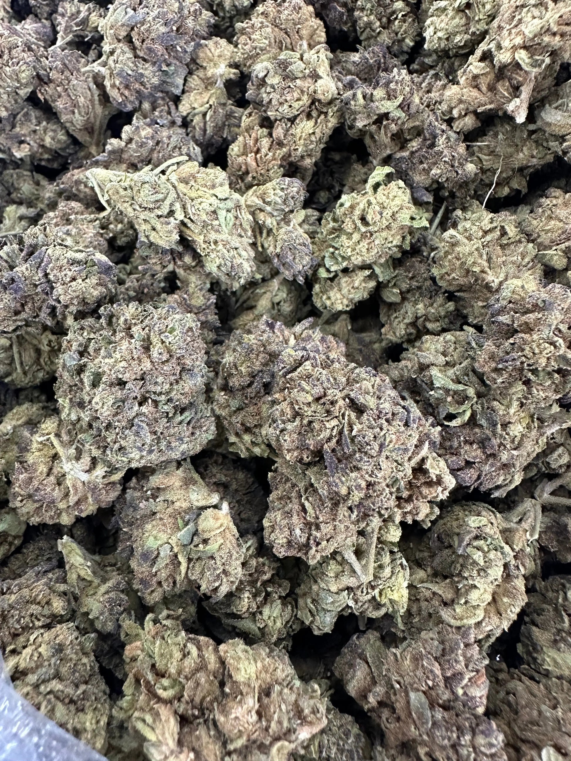 Frisco Labs - Obama Runtz THCA Strain Frisco Labs