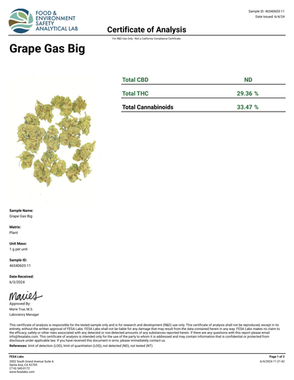 AAA Indoor Exotic - Grape Gas THCA Strain 