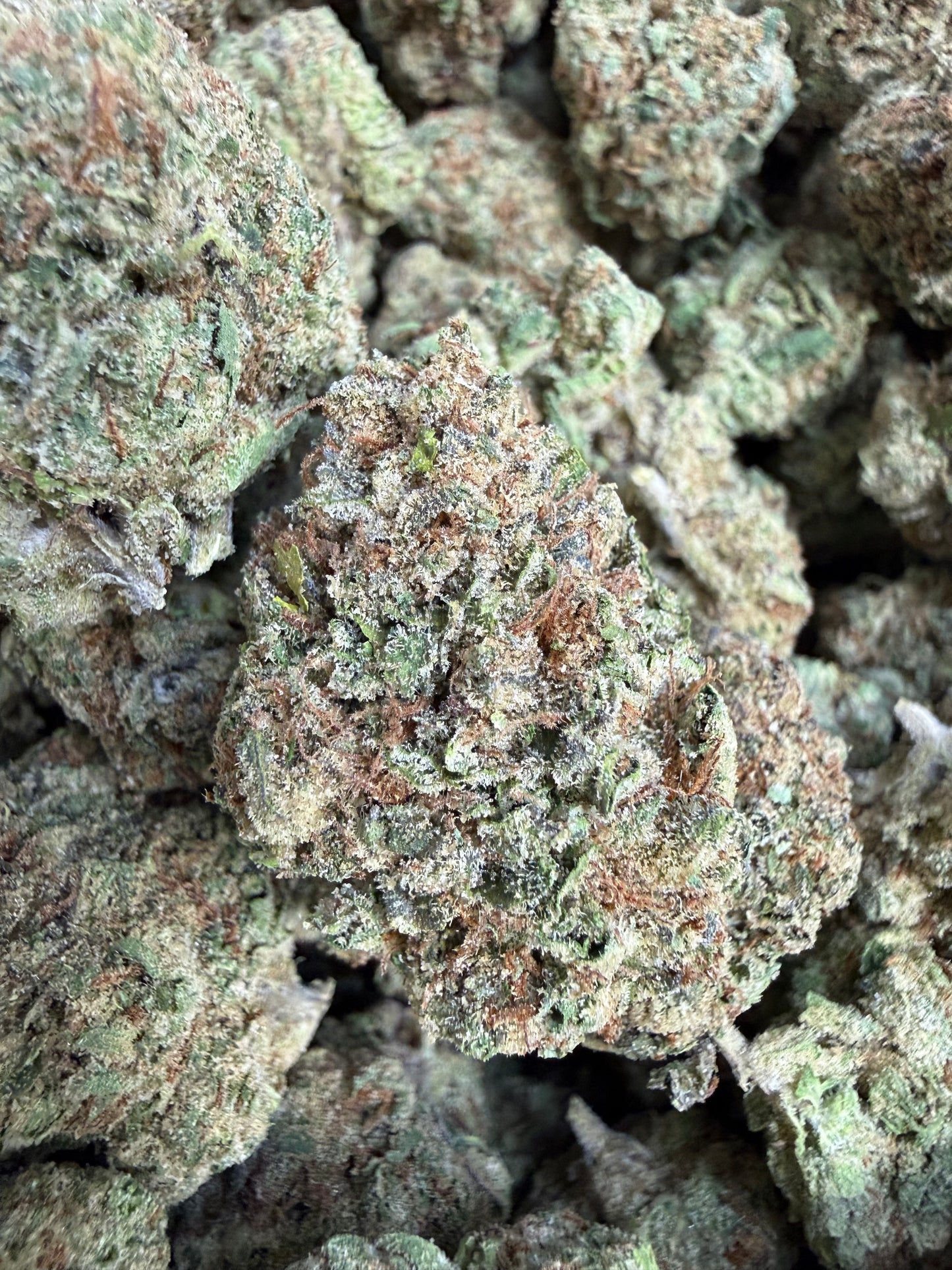 1 Pound - Super Duper Runtz THCA Flower
