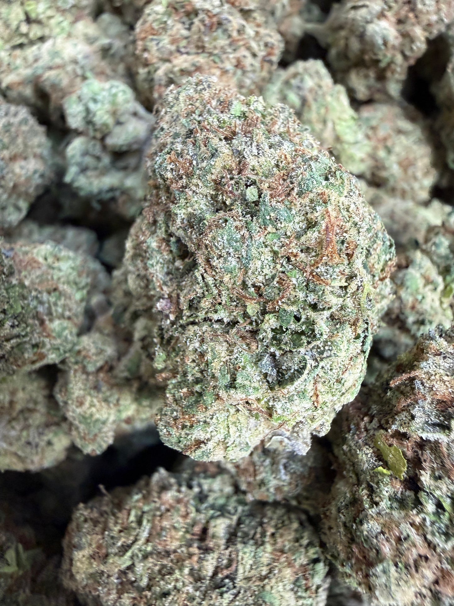 1 Pound - Super Duper Runtz THCA Flower