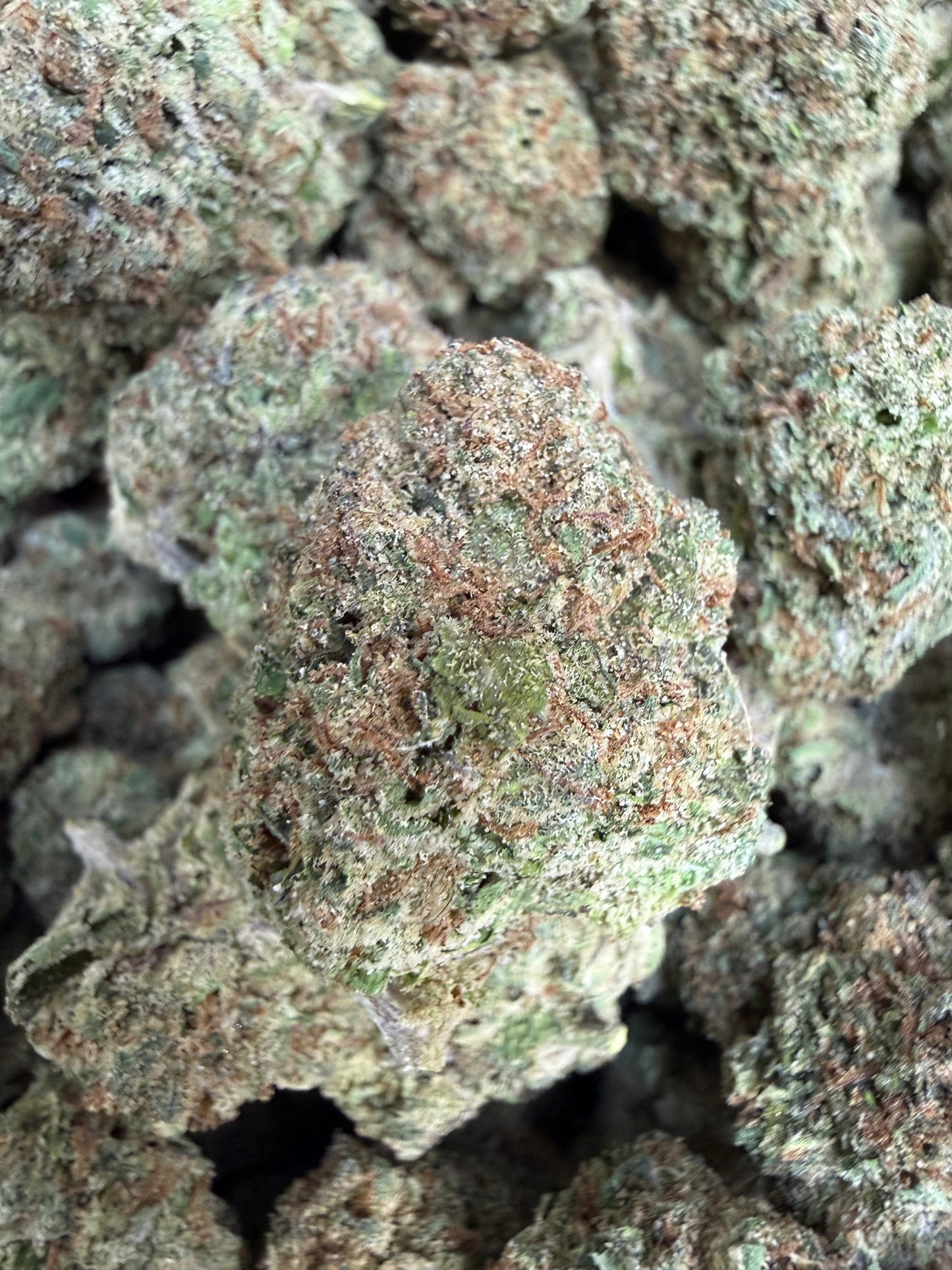 1 Pound - Super Duper Runtz THCA Flower