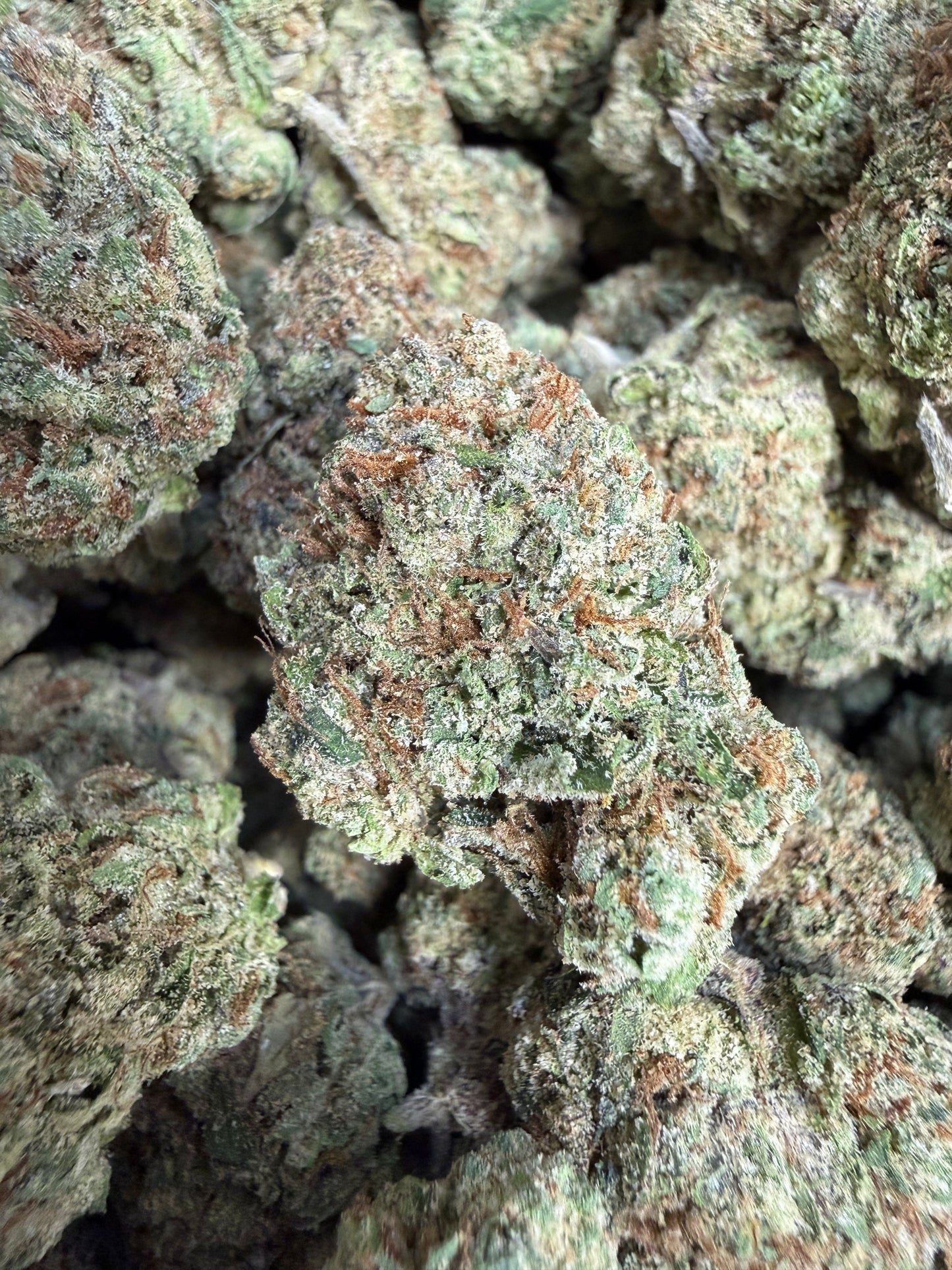 1 Pound - Super Duper Runtz THCA Flower