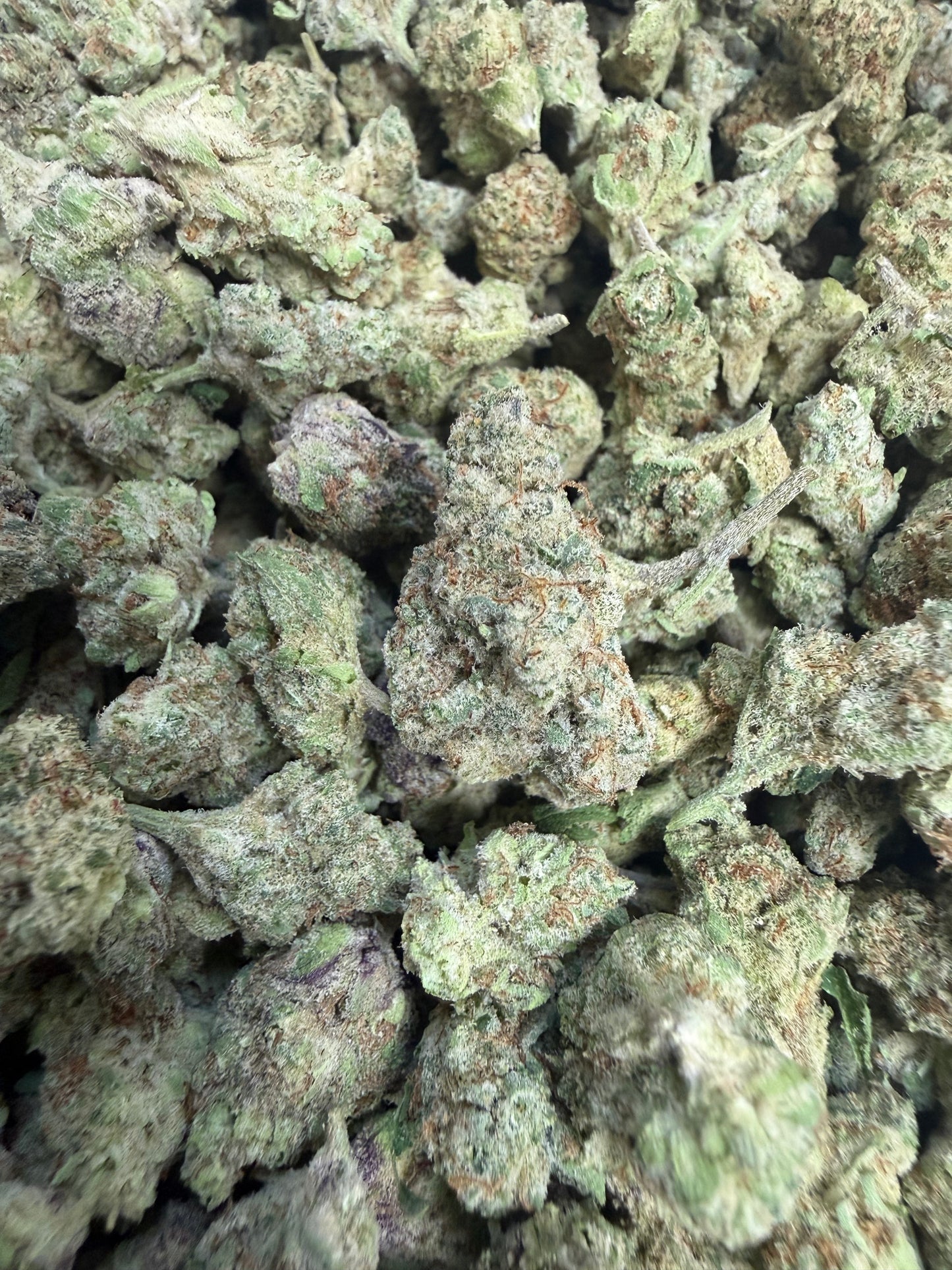 1 Pound - LA Candy Runtz Flower (Smalls)