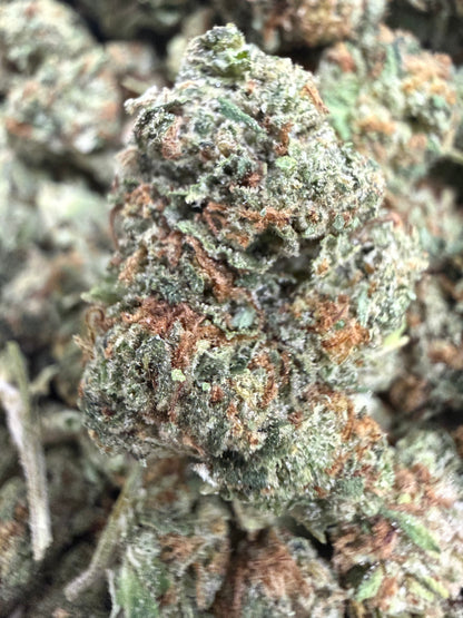 1 Pound - TROPICAL RUNTZ THCA Flower (SMALL)