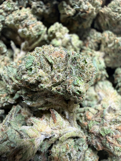 1 Pound - GELATO RUNTZ THCA Flower (SMALL)