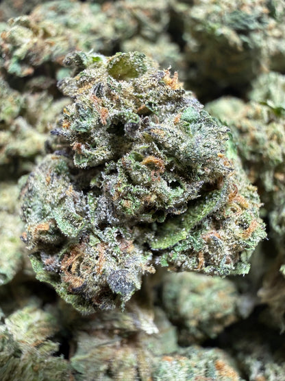 1 Pound - GELATO RUNTZ THCA Flower (SMALL)
