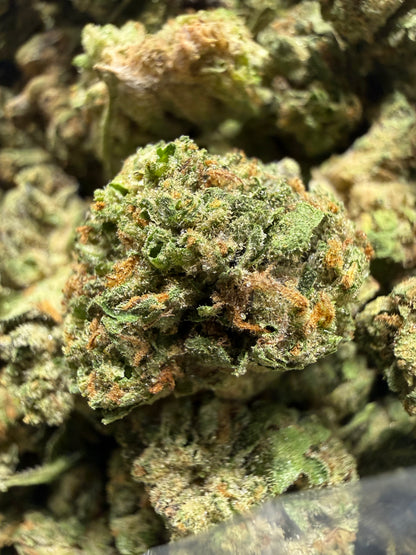 1 Pound - GELATO RUNTZ THCA Flower (SMALL)