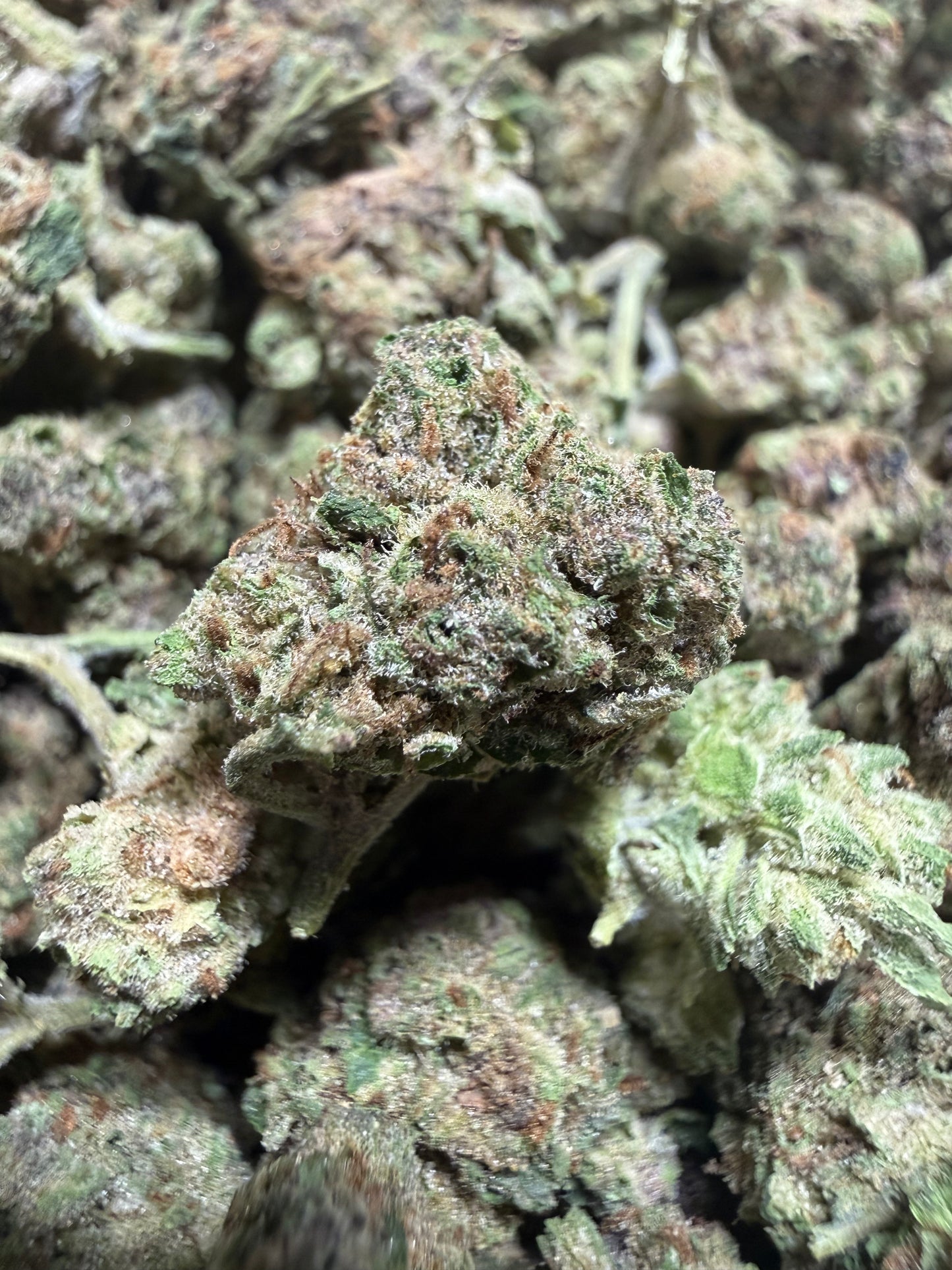 1 Pound - ZkittleZ THCA Flower (SMALL)