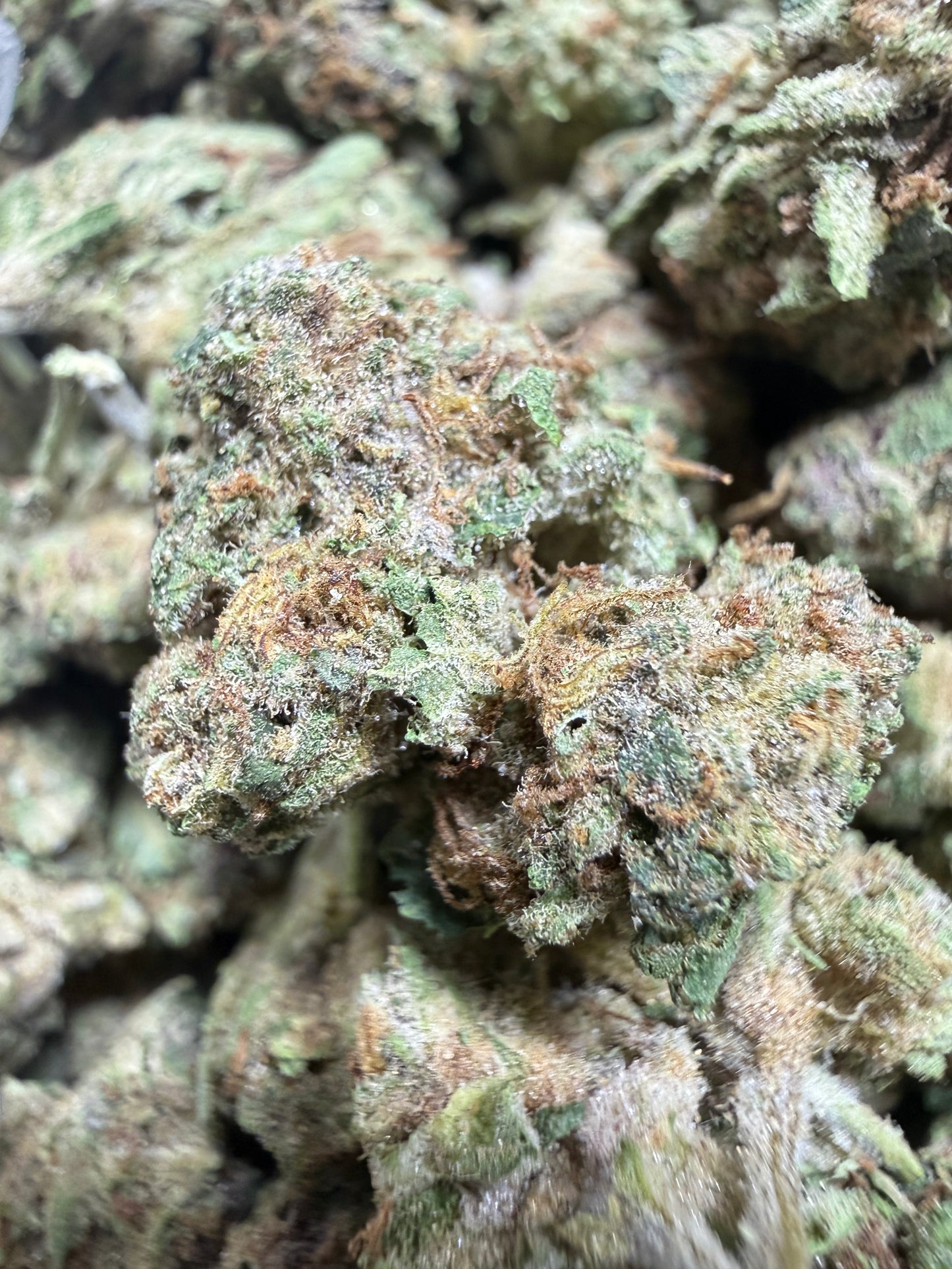 1 Pound - ZkittleZ THCA Flower (SMALL)
