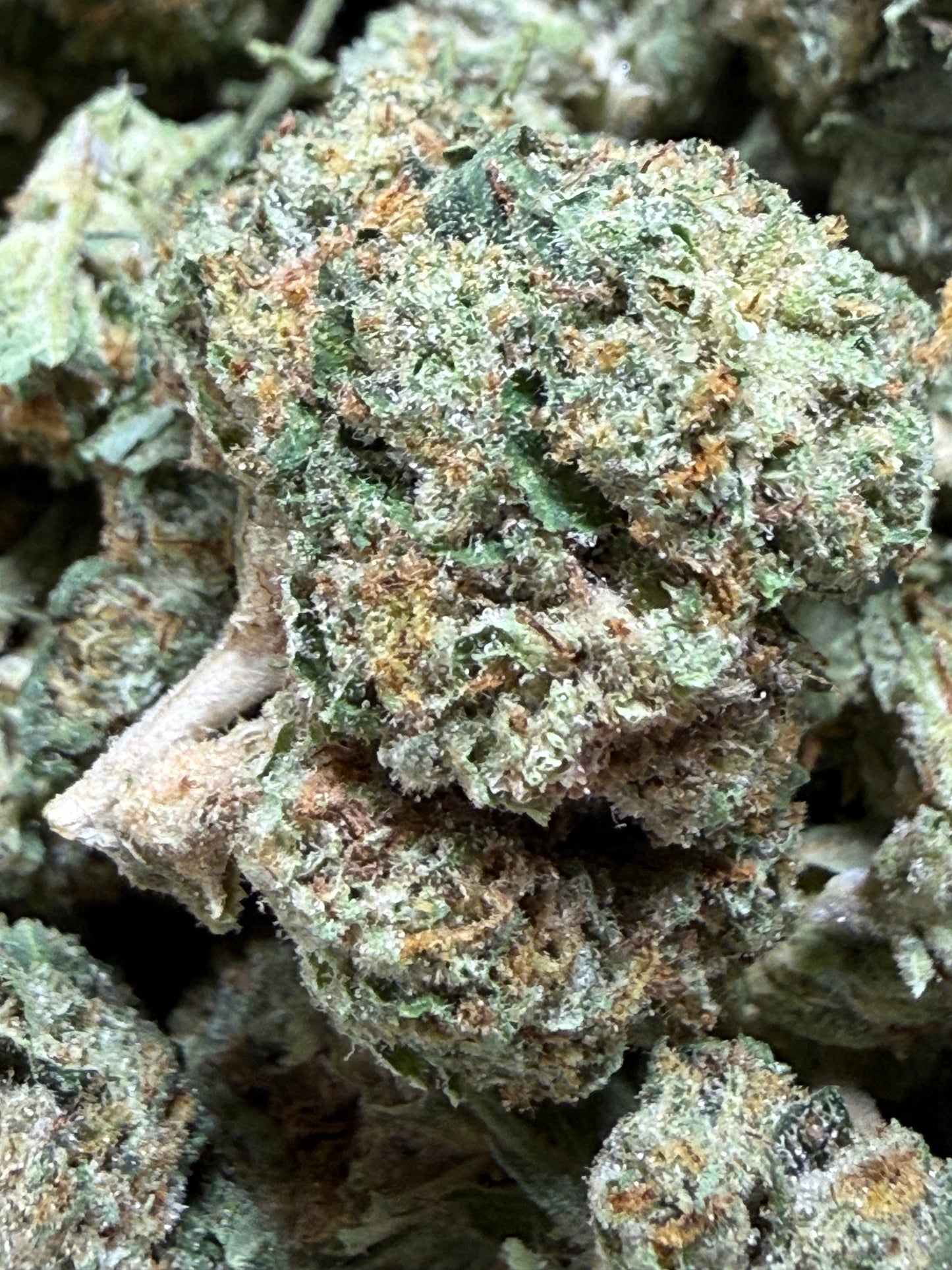 1 Pound - BACIO GELATO THCA Flower (SMALL)