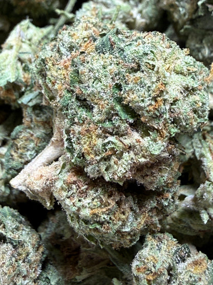 1 Pound - BACIO GELATO THCA Flower (SMALL)