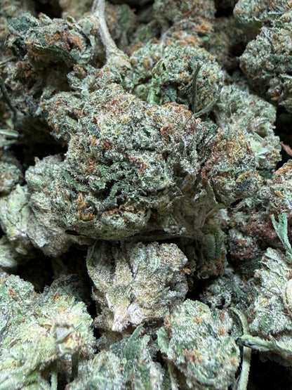1 Pound - BACIO GELATO THCA Flower (SMALL)