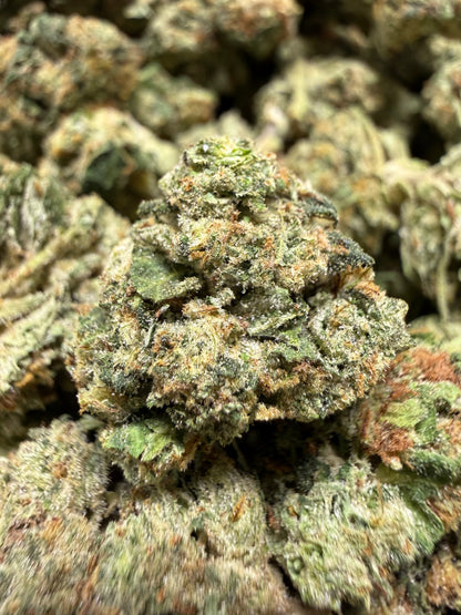 1 Pound - BACIO GELATO THCA Flower (SMALL)
