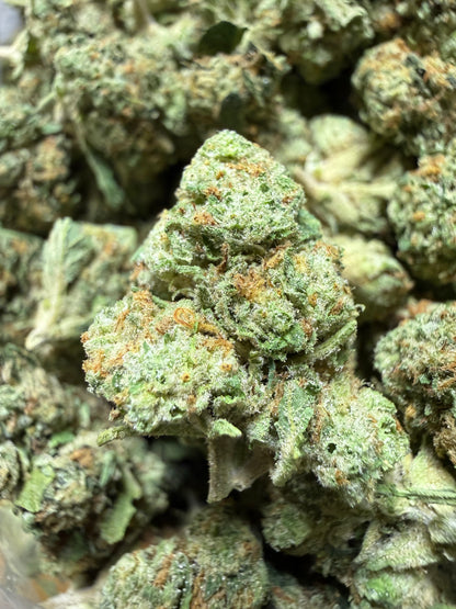 1 Pound - BACIO GELATO THCA Flower (SMALL)