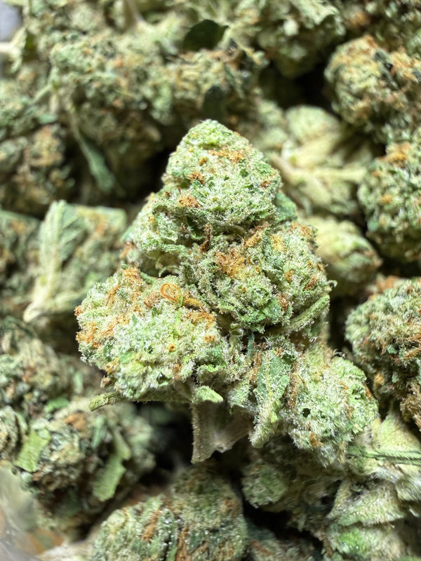 1 Pound - BACIO GELATO THCA Flower (SMALL)